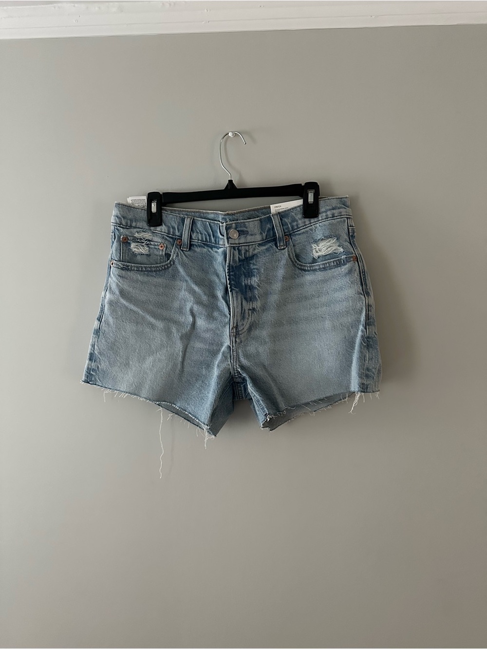 American Eagle Outfitters Low Rise Ex-Boyfriend Denim Shorts - size 8/29 - NWT